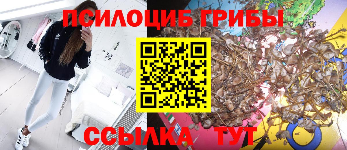 Псилоцибиновые грибы мухоморы Луга